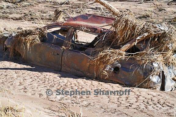 arroyo car 1 graphic